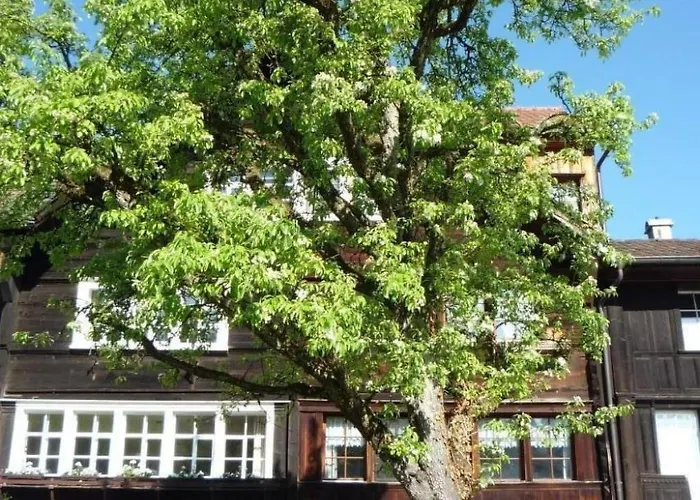 Vakantiehuis Appenzell House By Interhome Thal